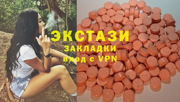 СК Аркадак
